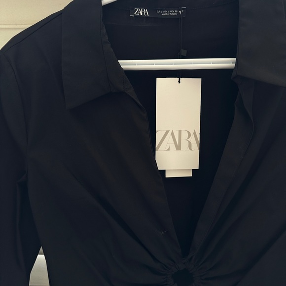 V neck collared cropped blouse - Picture 5 of 5